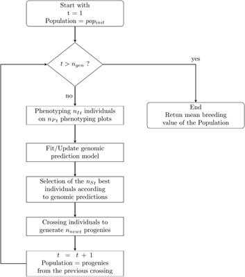 Bayesian optimisation for breeding schemes